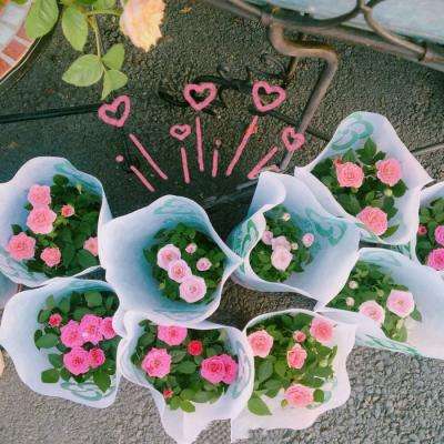 ob体育下载手机版